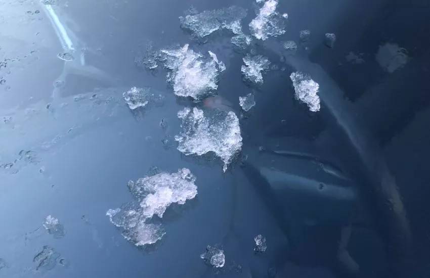 Çatılarda dev buz sarkıtları oluştu! O ilimize gitmeyen soğuk gördüm demesin: Hava -10 dereceye kadar düştü 7